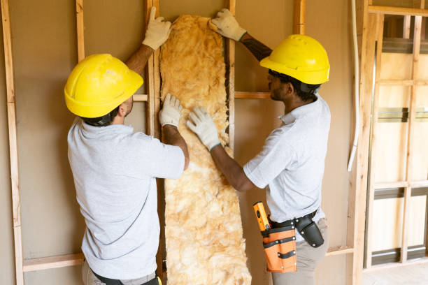 Best Local Insulation Services  in Cresson, TX