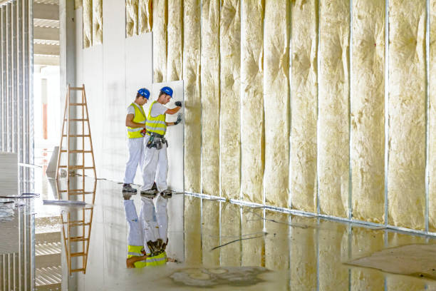 Best Best Insulation Companies  in Cresson, TX